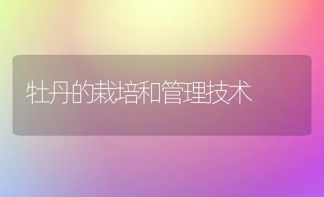 牡丹的栽培和管理技术 | 养殖知识