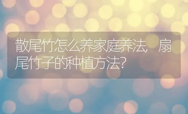 散尾竹怎么养家庭养法,扇尾竹子的种植方法？ | 养殖科普