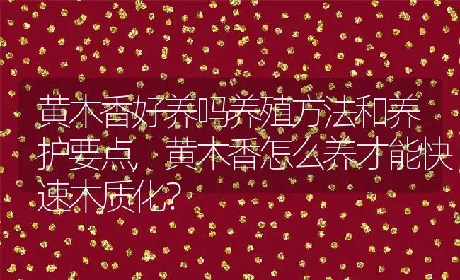 黄木香好养吗养殖方法和养护要点,黄木香怎么养才能快速木质化？ | 养殖科普