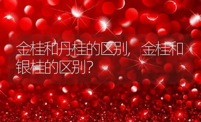 金桂和丹桂的区别,金桂和银桂的区别？ | 养殖科普