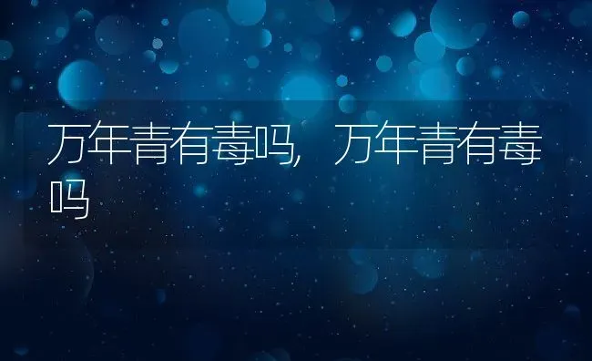 虾脊兰是保护植物吗,虾脊兰几月份开花？ | 养殖科普