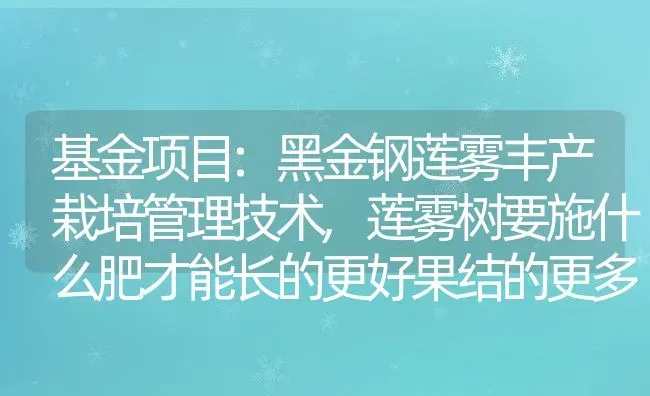 基金项目:黑金钢莲雾丰产栽培管理技术,莲雾树要施什么肥才能长的更好果结的更多 | 养殖学堂