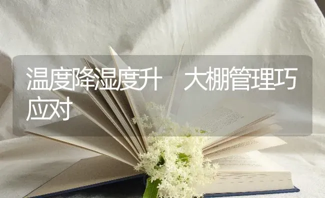 温度降湿度升 大棚管理巧应对 | 养殖技术大全