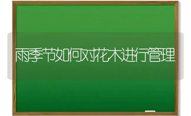 雨季节如何对花木进行管理 | 养殖知识