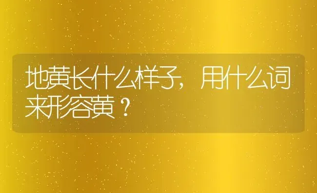 地黄长什么样子,用什么词来形容黄？ | 养殖科普