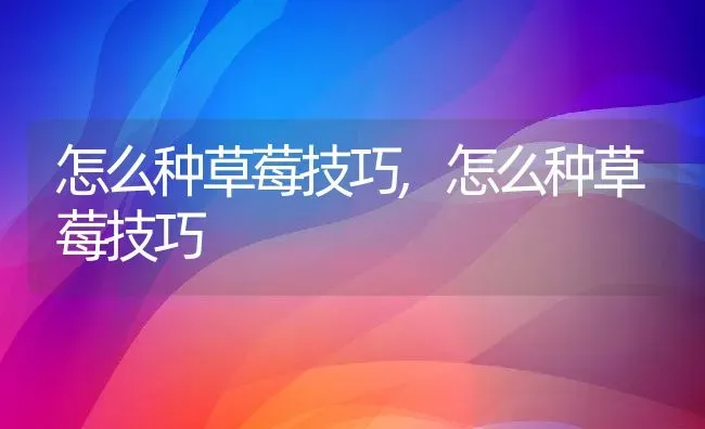 怎么种草莓技巧,怎么种草莓技巧 | 养殖科普