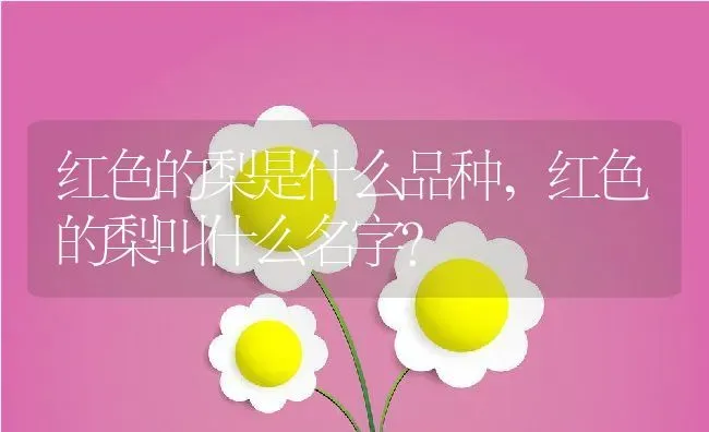 红色的梨是什么品种,红色的梨叫什么名字？ | 养殖科普