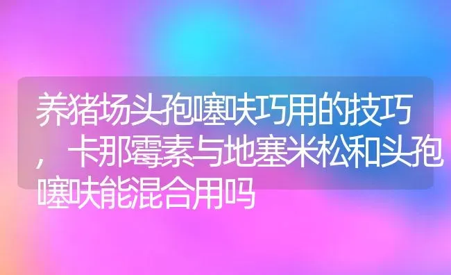 养猪场头孢噻呋巧用的技巧,卡那霉素与地塞米松和头孢噻呋能混合用吗 | 养殖学堂