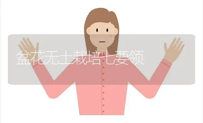 盆花无土栽培七要领 | 养殖技术大全