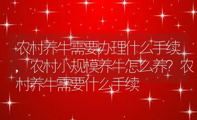 农村养牛需要办理什么手续,农村小规模养牛怎么养？农村养牛需要什么手续 | 养殖学堂