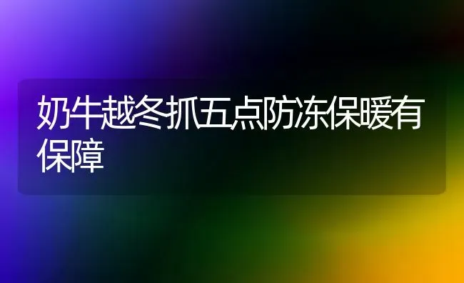 奶牛越冬抓五点防冻保暖有保障 | 养殖技术大全