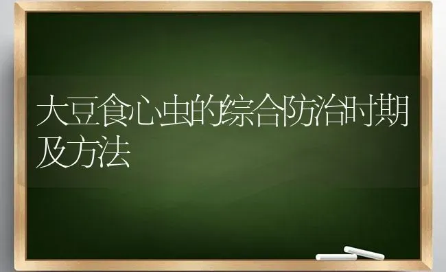 优质常规稻---野籼占8号 | 养殖技术大全