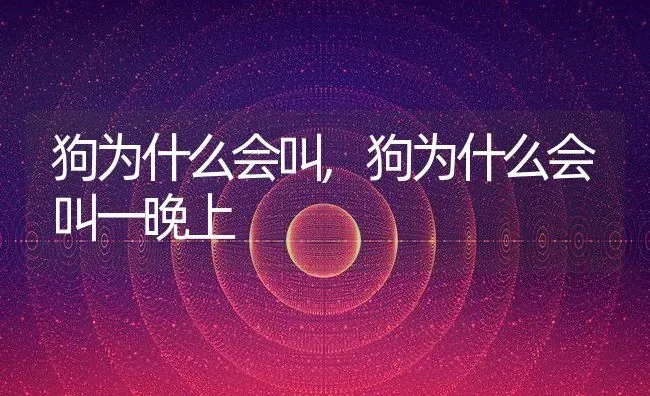 狗为什么会叫,狗为什么会叫一晚上 | 养殖学堂