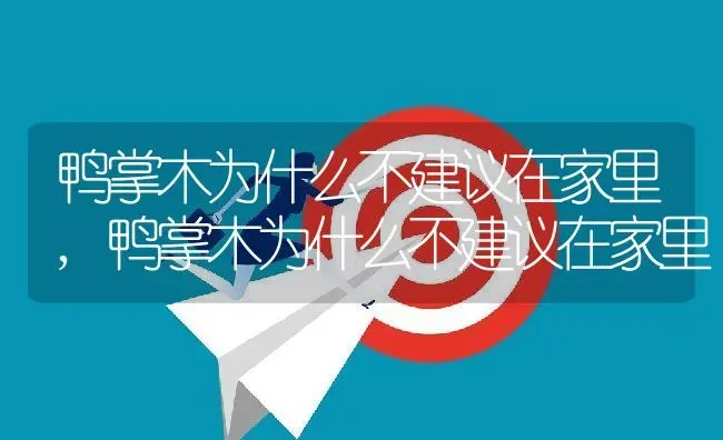 鸭掌木为什么不建议在家里,鸭掌木为什么不建议在家里 | 养殖科普
