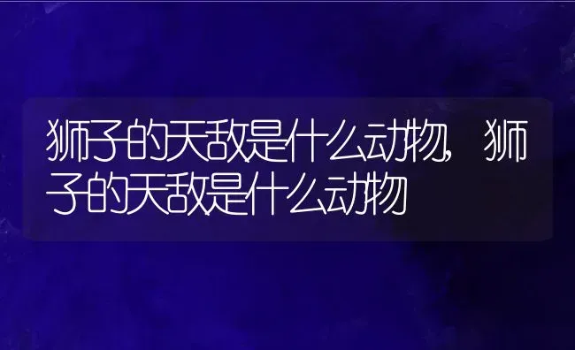 狮子的天敌是什么动物,狮子的天敌是什么动物 | 养殖学堂