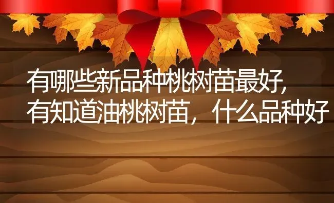 有哪些新品种桃树苗最好,有知道油桃树苗，什么品种好 | 养殖学堂