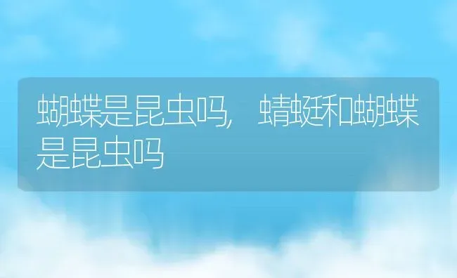 蝴蝶是昆虫吗,蜻蜓和蝴蝶是昆虫吗 | 养殖科普