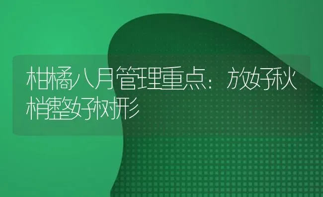 柑橘八月管理重点：放好秋梢整好树形 | 养殖技术大全