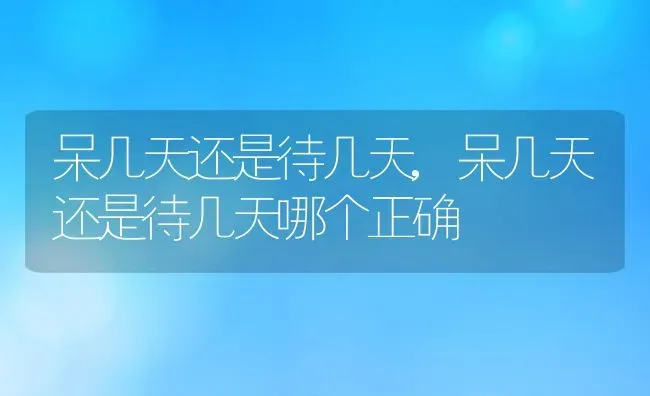 呆几天还是待几天,呆几天还是待几天哪个正确 | 养殖资料