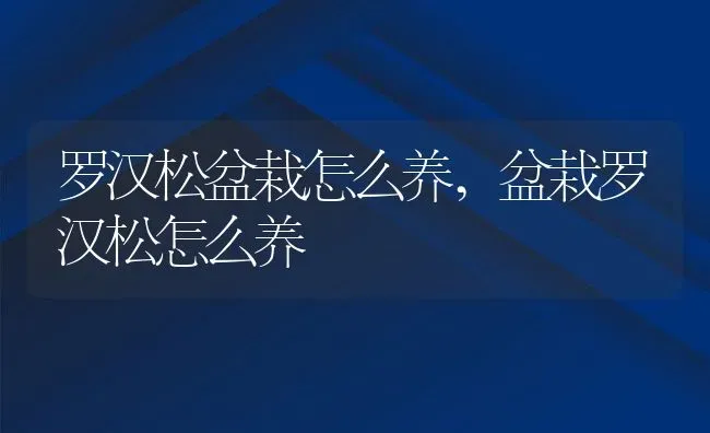 罗汉松盆栽怎么养,盆栽罗汉松怎么养 | 养殖学堂