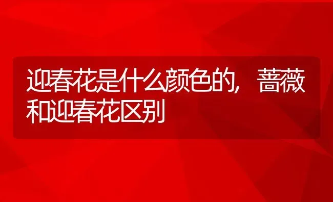 橘子含糖量高吗,为什么橘子是甜的 | 养殖学堂