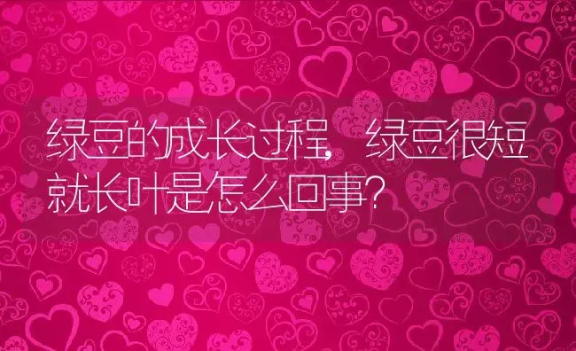 绿豆的成长过程,绿豆很短就长叶是怎么回事？ | 养殖科普