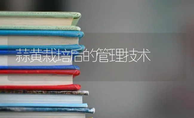 蒜黄栽培后的管理技术 | 养殖技术大全