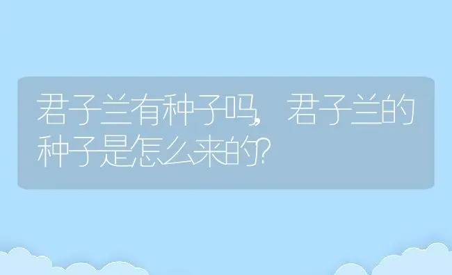 君子兰有种子吗,君子兰的种子是怎么来的？ | 养殖科普