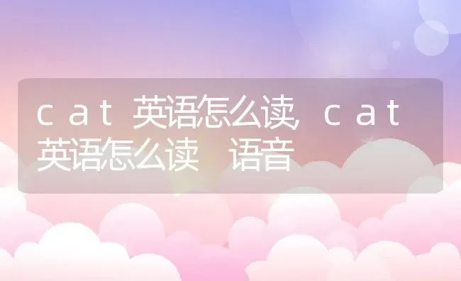 cat英语怎么读,cat英语怎么读 语音 | 养殖资料