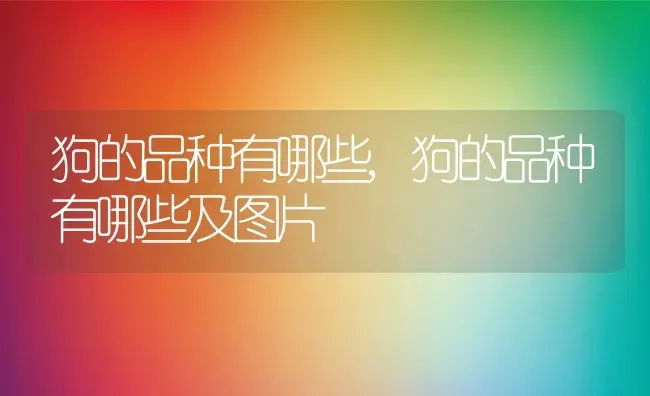 狗的品种有哪些,狗的品种有哪些及图片 | 养殖科普