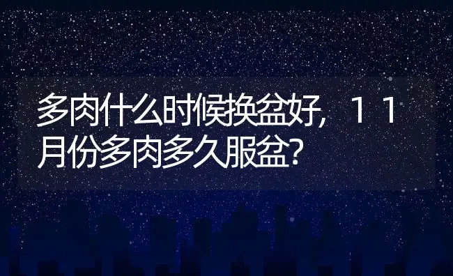 多肉什么时候换盆好,11月份多肉多久服盆？ | 养殖科普