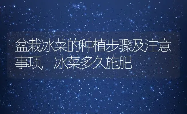 盆栽冰菜的种植步骤及注意事项,冰菜多久施肥 | 养殖学堂