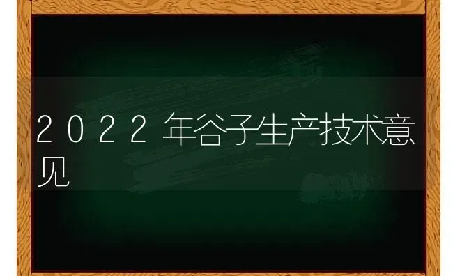 2022年谷子生产技术意见 | 养殖技术大全