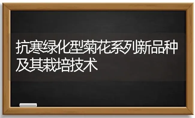 抗寒绿化型菊花系列新品种及其栽培技术 | 养殖技术大全