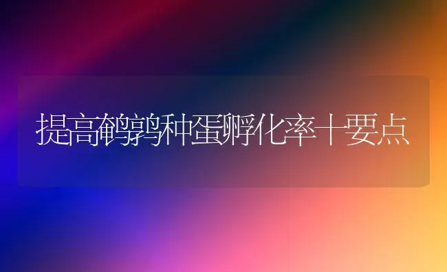 提高鹌鹑种蛋孵化率十要点 | 养殖技术大全