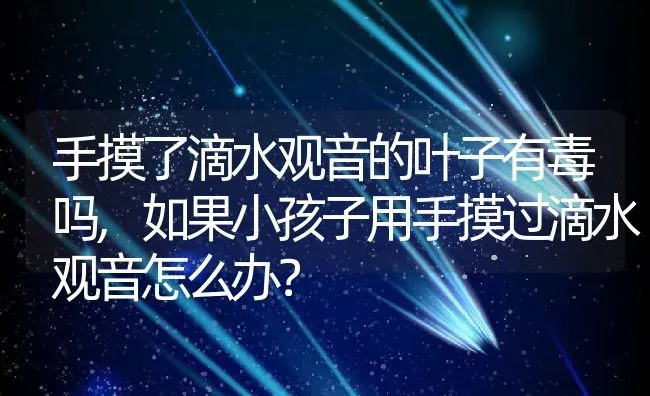 手摸了滴水观音的叶子有毒吗,如果小孩子用手摸过滴水观音怎么办？ | 养殖学堂