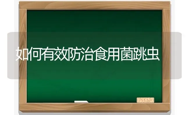 如何有效防治食用菌跳虫 | 养殖知识