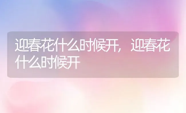 迎春花什么时候开,迎春花什么时候开 | 养殖科普