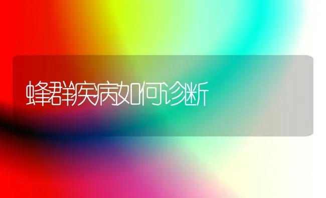 蜂群疾病如何诊断 | 养殖知识