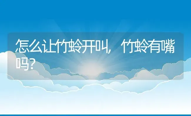 怎么让竹蛉开叫,竹蛉有嘴吗？ | 养殖学堂