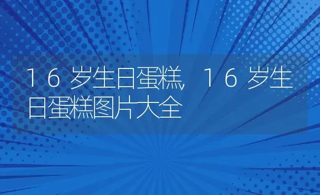 16岁生日蛋糕,16岁生日蛋糕图片大全 | 养殖资料