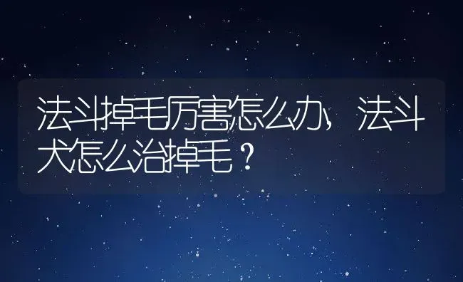 法斗掉毛厉害怎么办,法斗犬怎么治掉毛？ | 养殖学堂