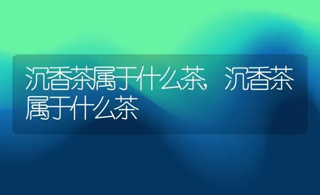 沉香茶属于什么茶,沉香茶属于什么茶 | 养殖科普