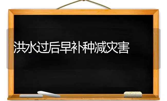 洪水过后早补种减灾害 | 养殖技术大全