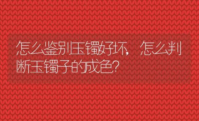 怎么鉴别玉镯好坏,怎么判断玉镯子的成色？ | 养殖科普