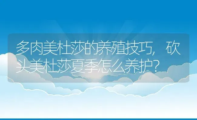 多肉美杜莎的养殖技巧,砍头美杜莎夏季怎么养护？ | 养殖科普