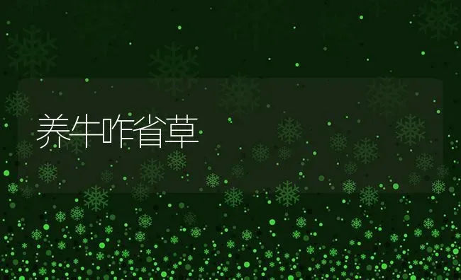 养牛咋省草 | 养殖知识