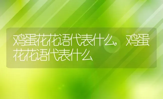 鸡蛋花花语代表什么,鸡蛋花花语代表什么 | 养殖科普