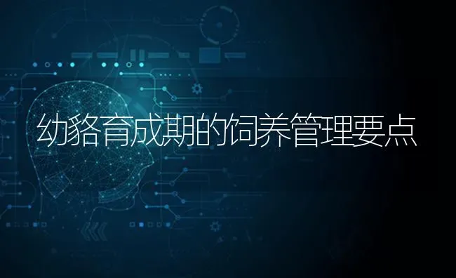 幼貉育成期的饲养管理要点 | 养殖技术大全