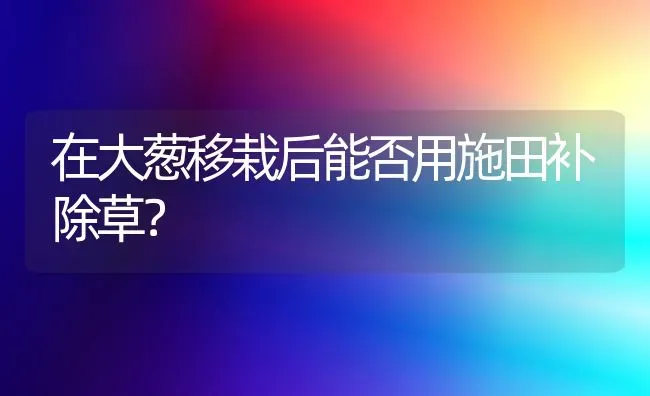 在大葱移栽后能否用施田补除草? | 养殖技术大全